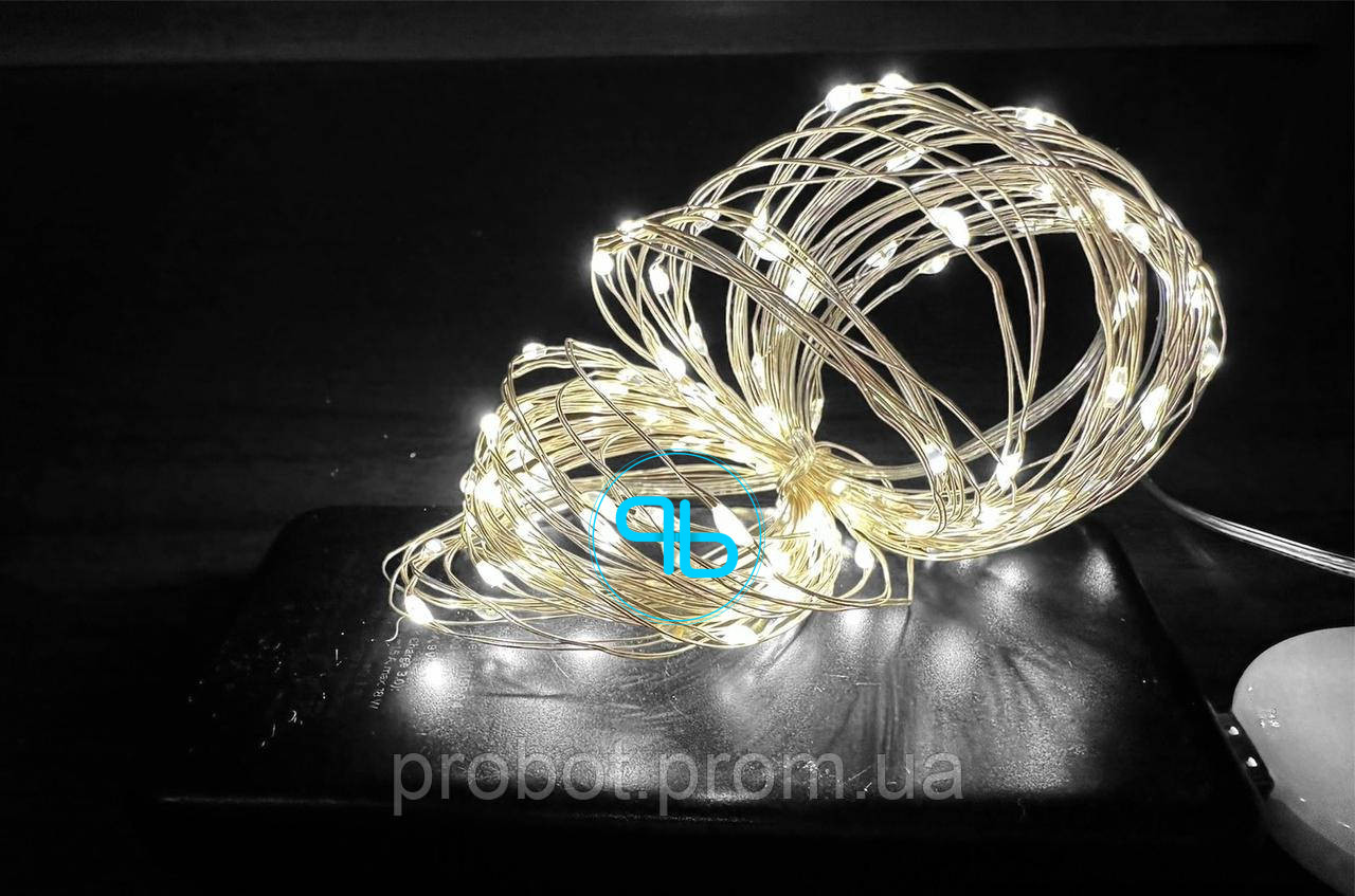 Гірлянда Роса USB, з пультом, тепле світло, 10м з музикою | Probot фото 2