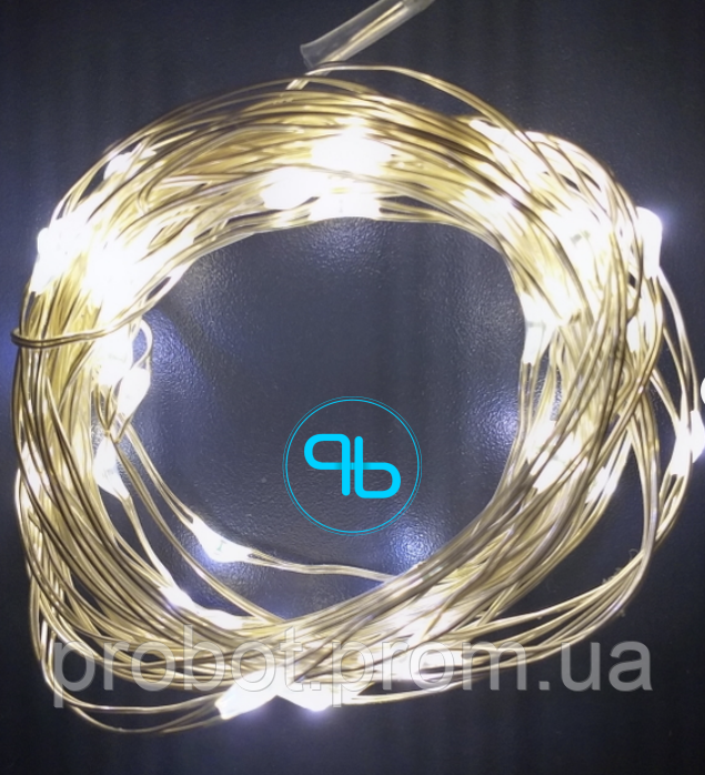 Гірлянда Роса USB, з пультом, тепле світло, 10м з музикою | Probot фото 3